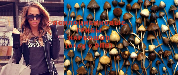 кокаин колумбия Алексеевка