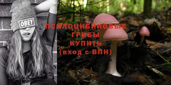 2c-b Абдулино
