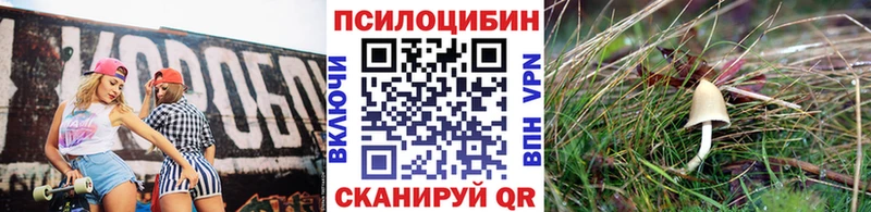 Псилоцибиновые грибы Cubensis  Цоци-Юрт 
